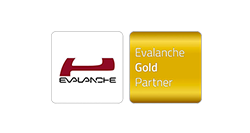 Evalanche SC Networks